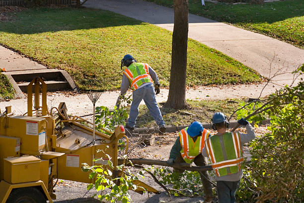 Lake Mohawk, OH  Tree Services Company